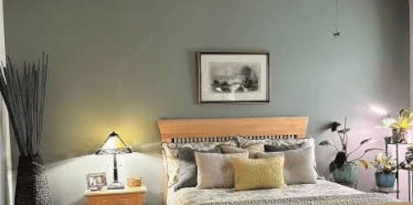 Remodels & refreshes